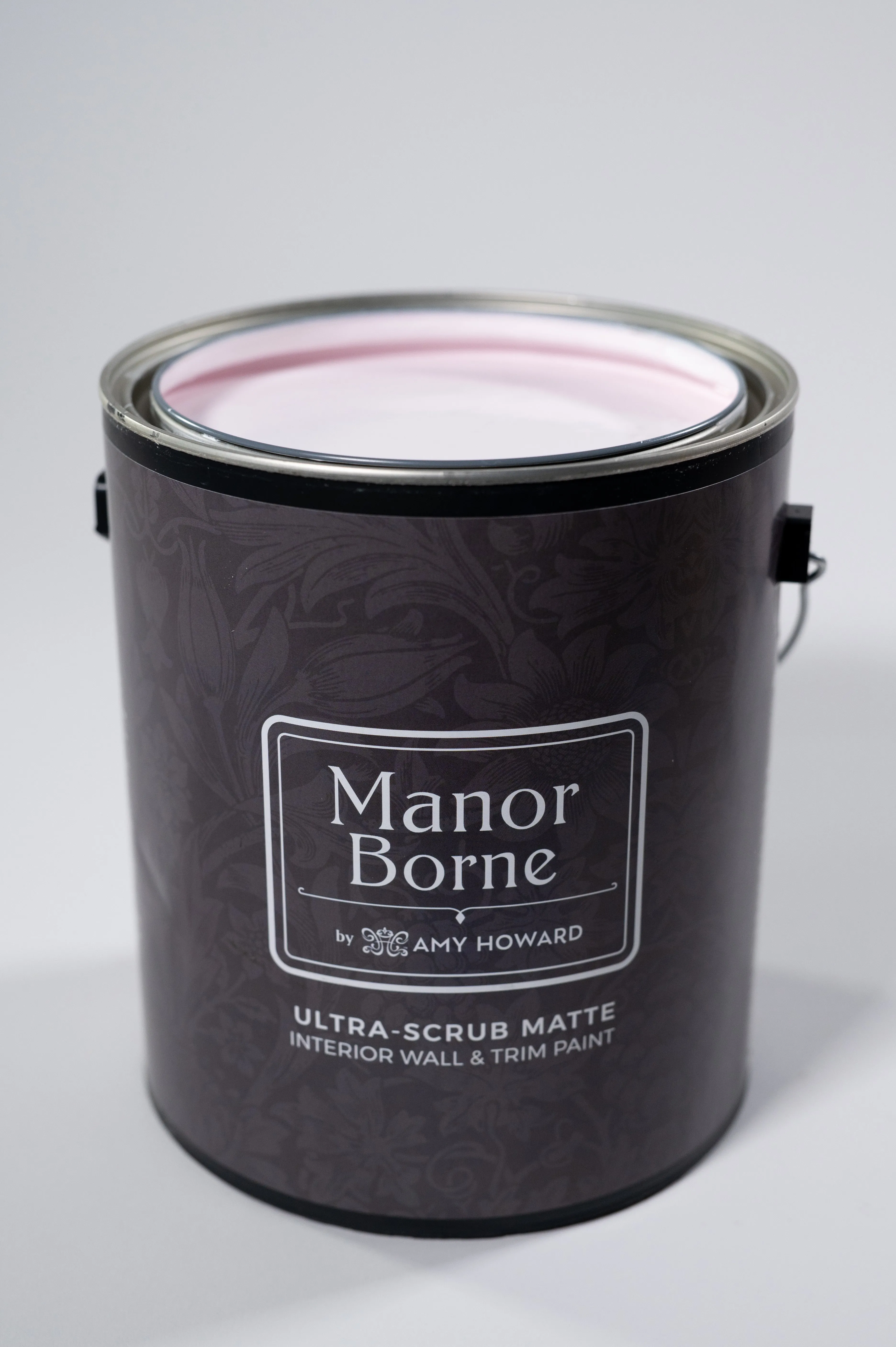 Ballet Shoes - Manor Borne Wall Paint